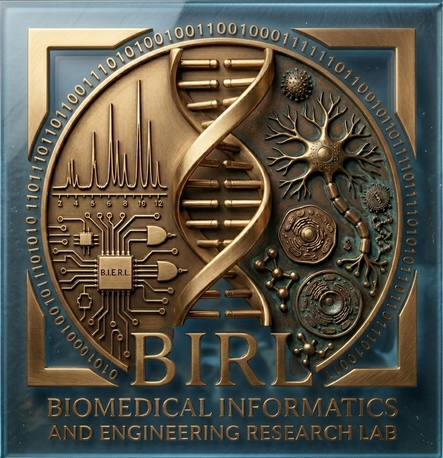 BIRL HY visual
